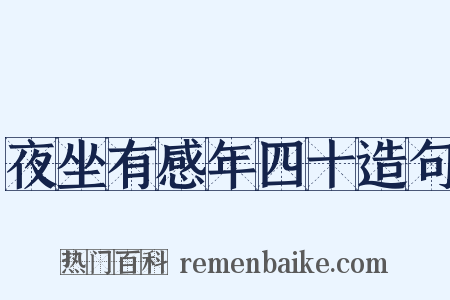 夜坐有感年四十造句是什么意思的图片